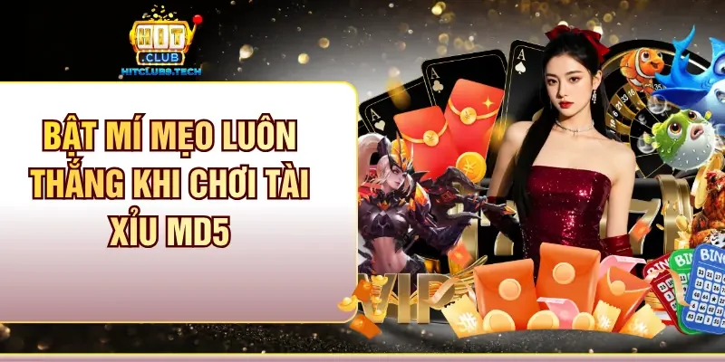 Bật mí mẹo luôn thắng khi chơi Tài xỉu MD5