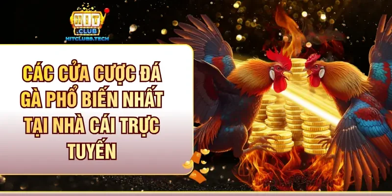 Các cửa cược đá gà