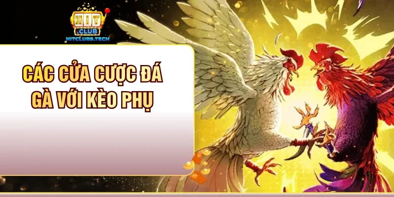 Các cửa cược đá gà với kèo phụ