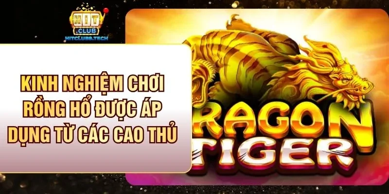 Các kinh nghiệm chơi rồng hổ được áp dụng từ các cao thủ