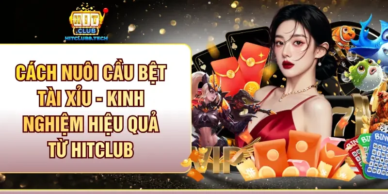 Cách nuôi cầu bệt tài xỉu