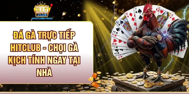 Đá gà trực tiếp