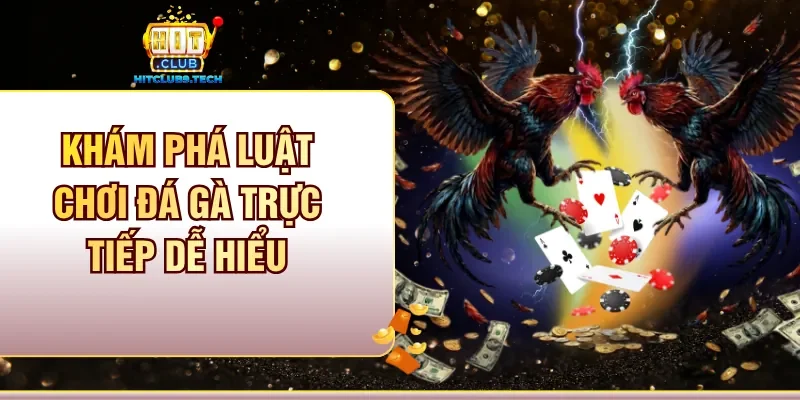 Khám phá luật chơi Đá gà trực tiếp dễ hiểu