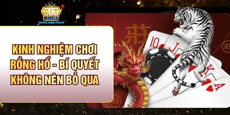 Kinh nghiệm chơi rồng hổ