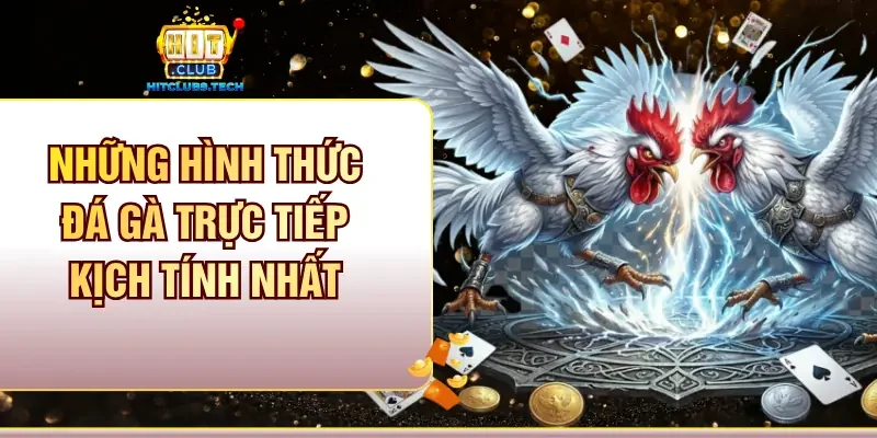 Những hình thức Đá gà trực tiếp kịch tính nhất