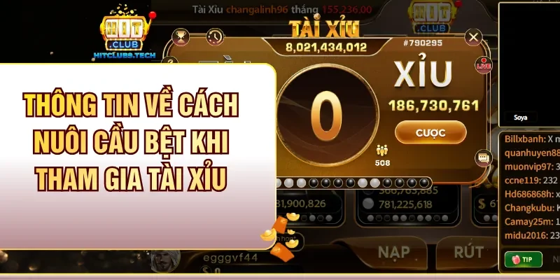 Thông tin về cách nuôi cầu bệt khi tham gia tài xỉu