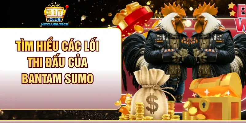 Tìm hiểu các lối thi đấu của Bantam Sumo
